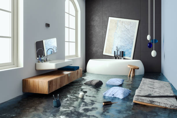 Best Mold removal after water damage  in South Bound Brook, NJ