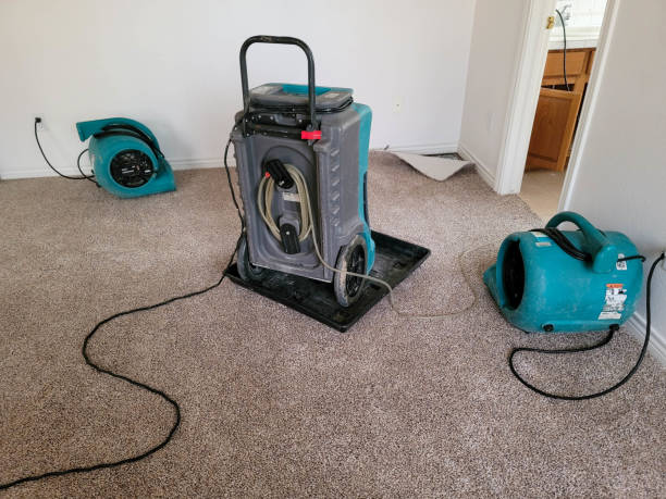 Best Commercial water damage restoration  in South Bound Brook, NJ
