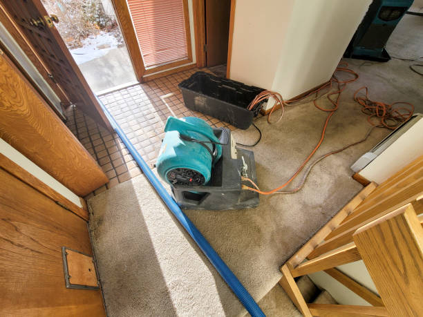 Best Ceiling water damage repair  in South Bound Brook, NJ