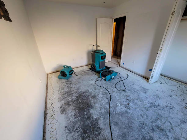Best Professional water damage repair  in South Bound Brook, NJ