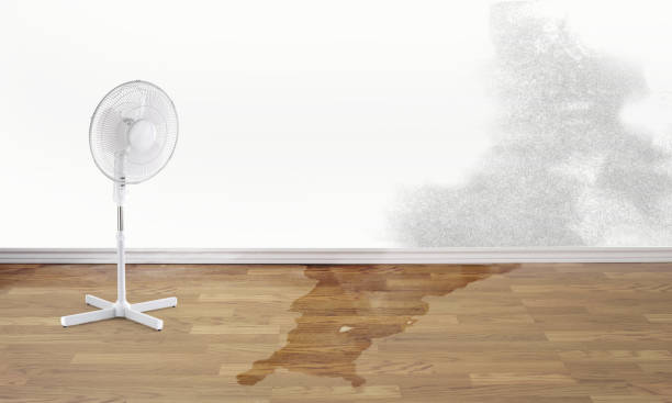 Best Sewage cleanup and water damage restoration  in South Bound Brook, NJ