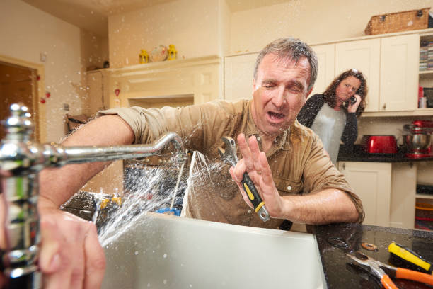 Best 24/7 water damage repair  in South Bound Brook, NJ